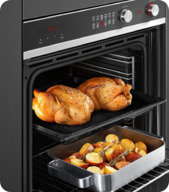 Fisher & Paykel oven (1)