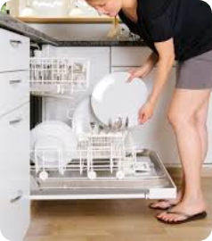 Omega Dishwasher (1)